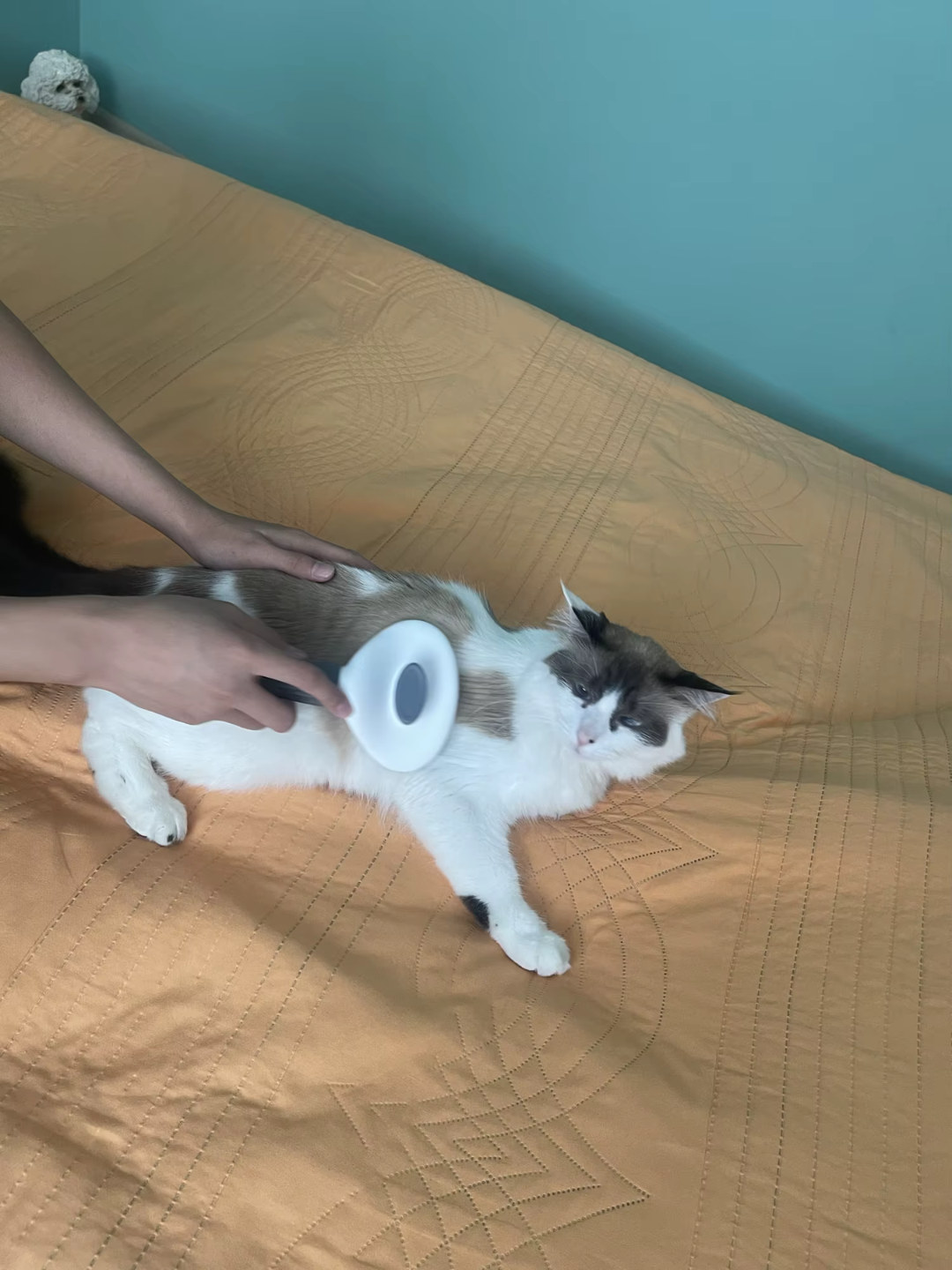 Cepillo para perros y gatos, peine de autolimpieza, removedor de pelo 3 en 1