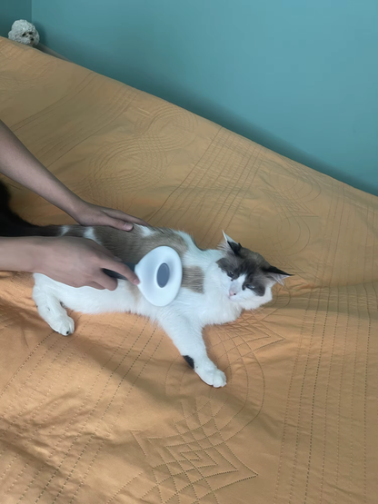 Cepillo para perros y gatos, peine de autolimpieza, removedor de pelo 3 en 1
